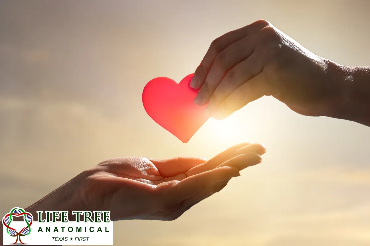 Can a Donation Program Transfer the Body Elsewhere?
