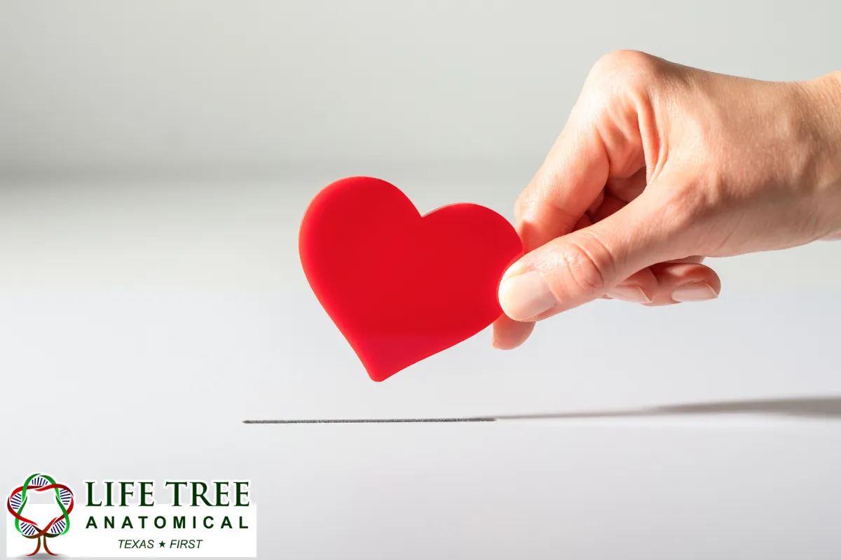 Does a Will Make the Donation More Legally Secure