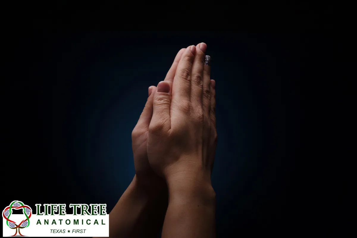 Faith, Medical Education, and the Meaning of a Final Gift