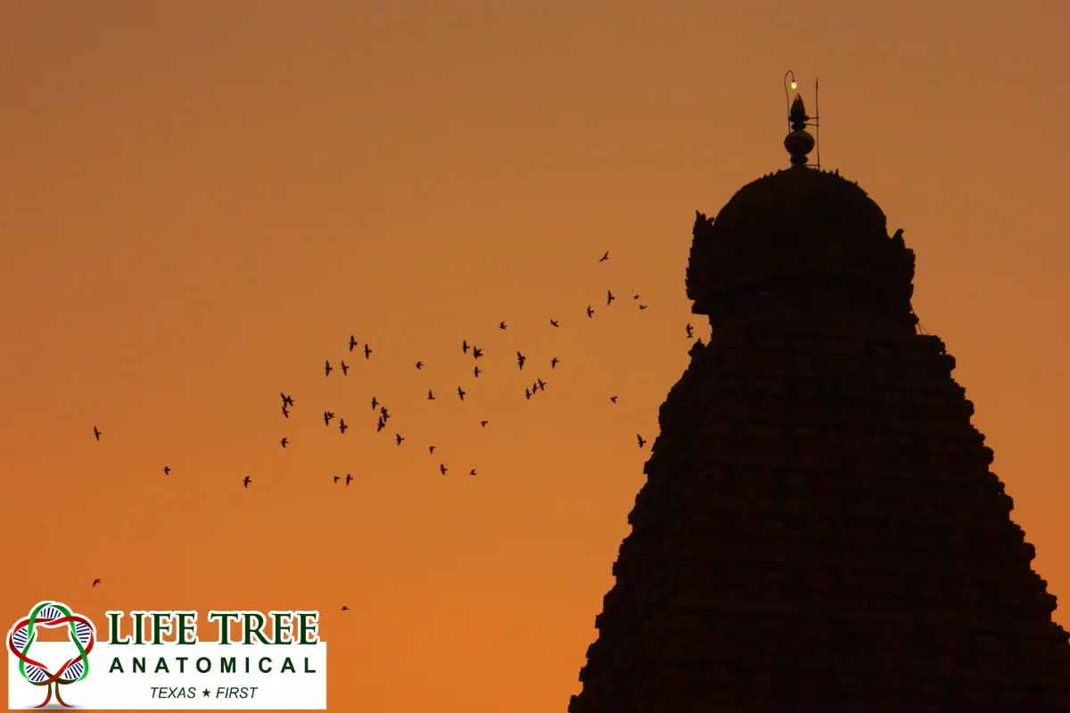 Hindu Traditions Commonly Emphasize Detachment and Generosity