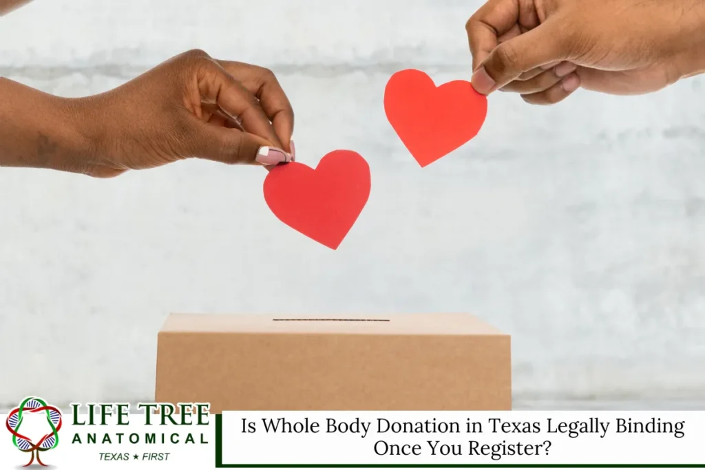 Is Whole Body Donation in Texas Legally Binding Once You Register?