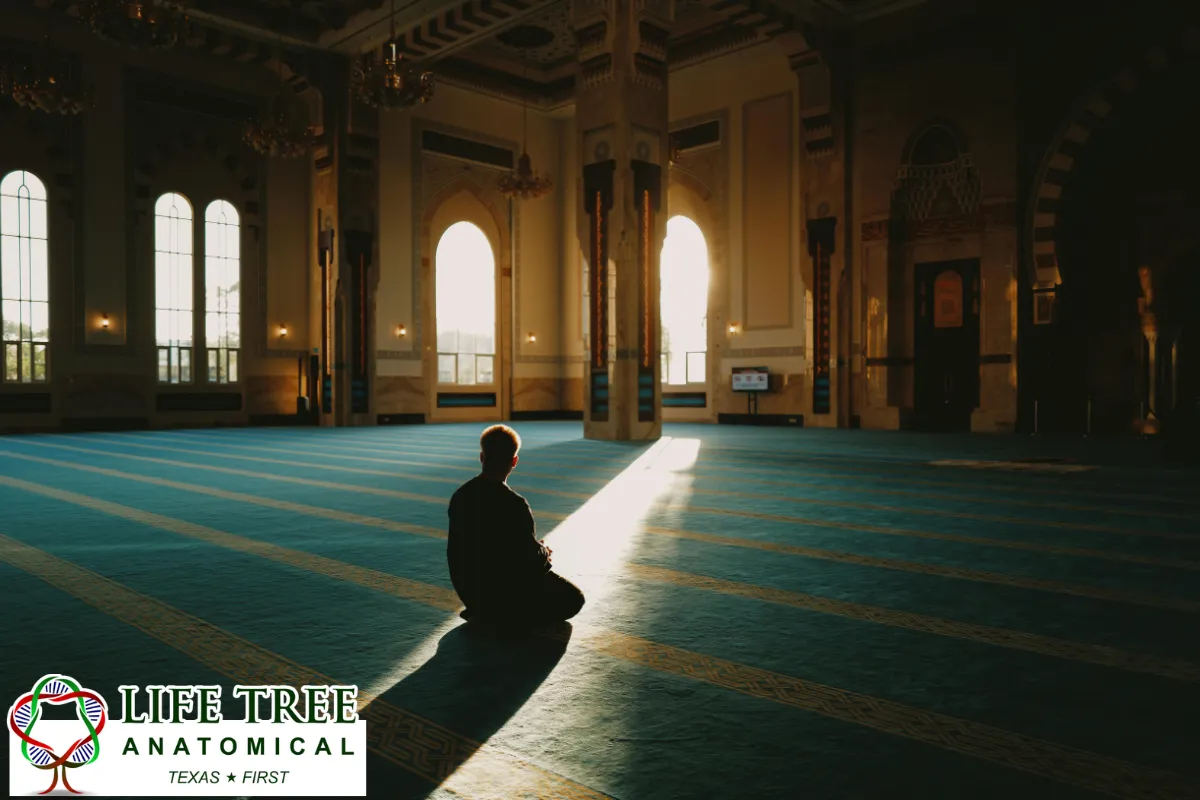 Islamic Views Depend on Necessity, Dignity, and Scholarly Interpretation