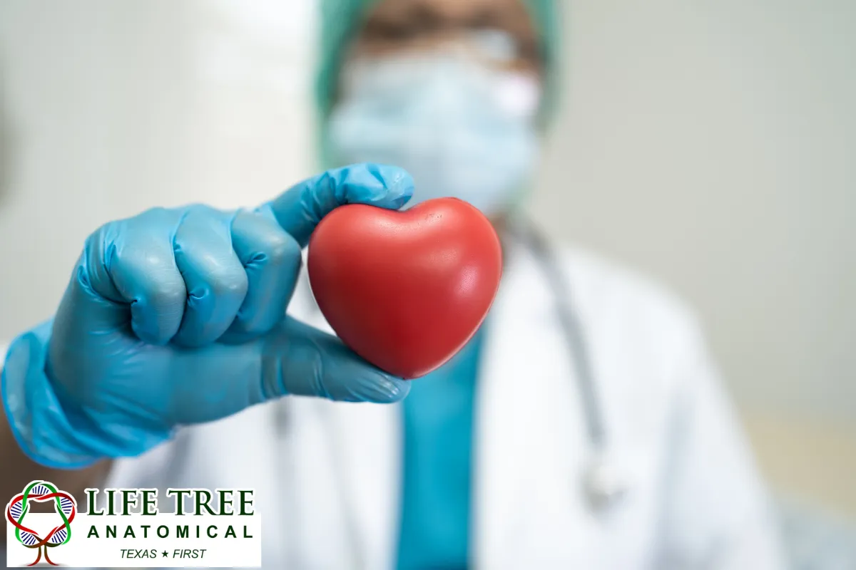Medical Training Remains One of the Most Common Uses