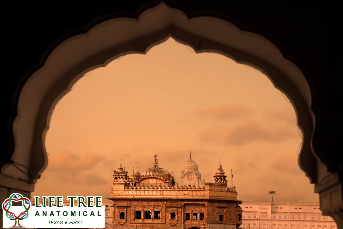Sikhism Generally Supports Service That Benefits Humanity