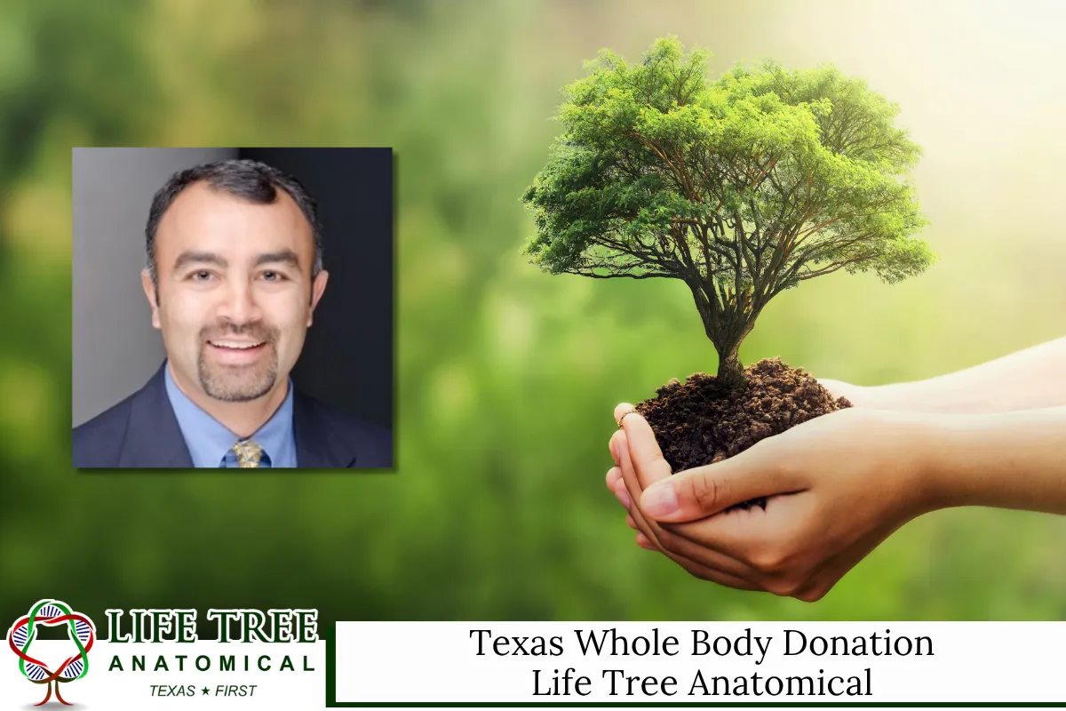 Texas Whole Body Donation - Life Tree Anatomical