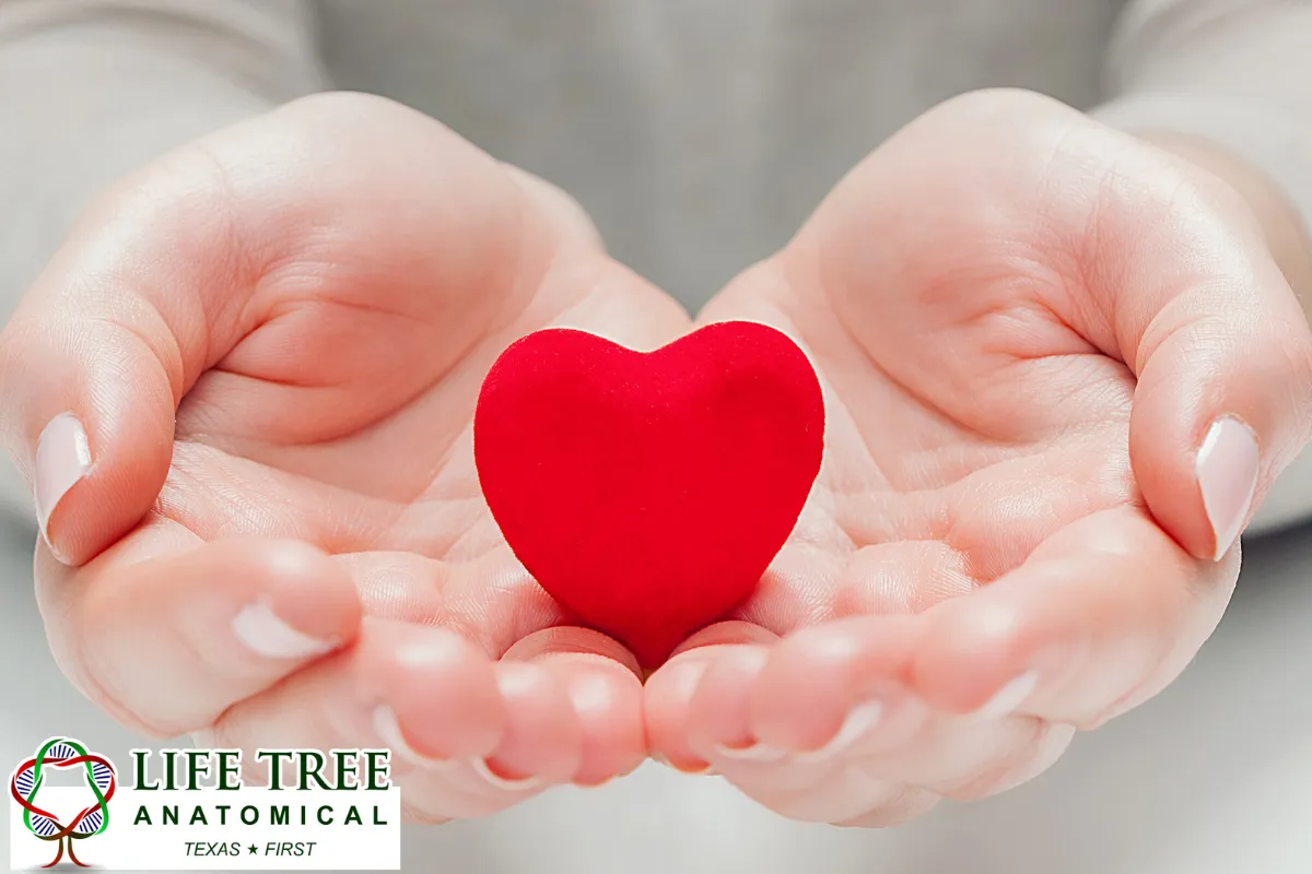 What Happens When the Donor Signed Up but Relatives Object? 