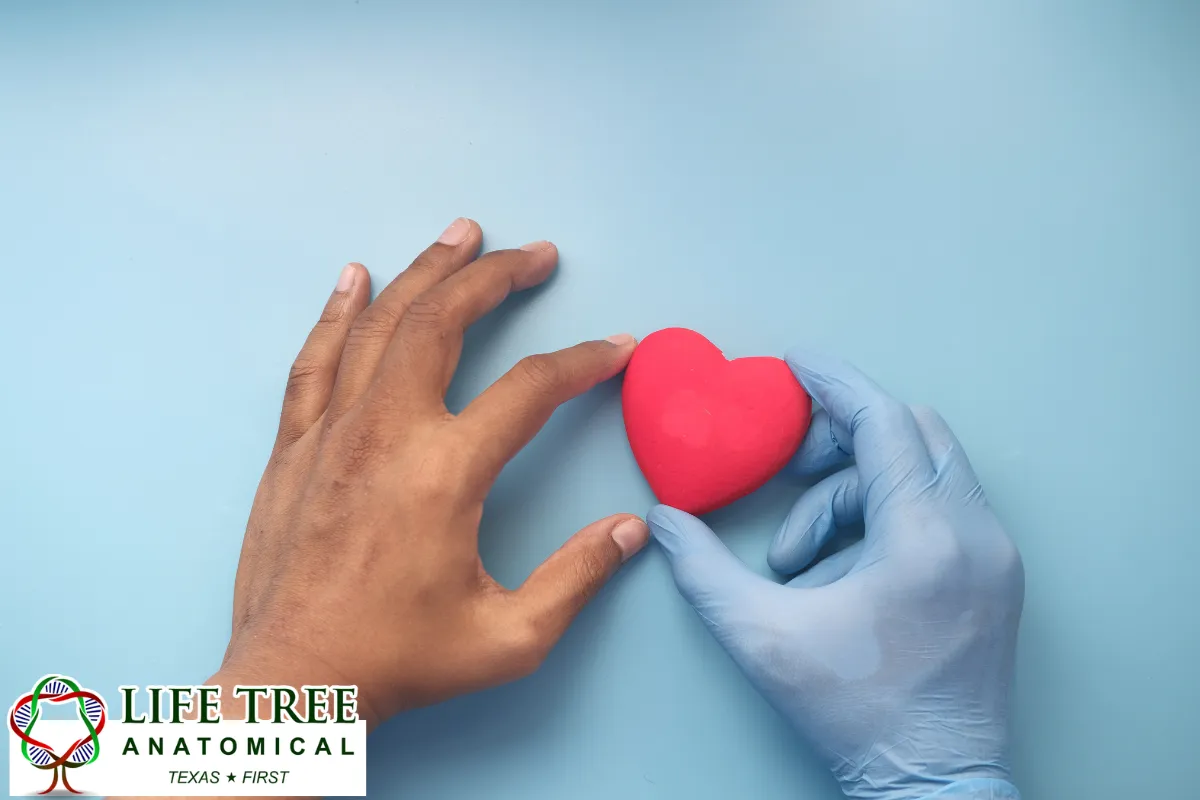 When Donated Bodies Support Forensic Research