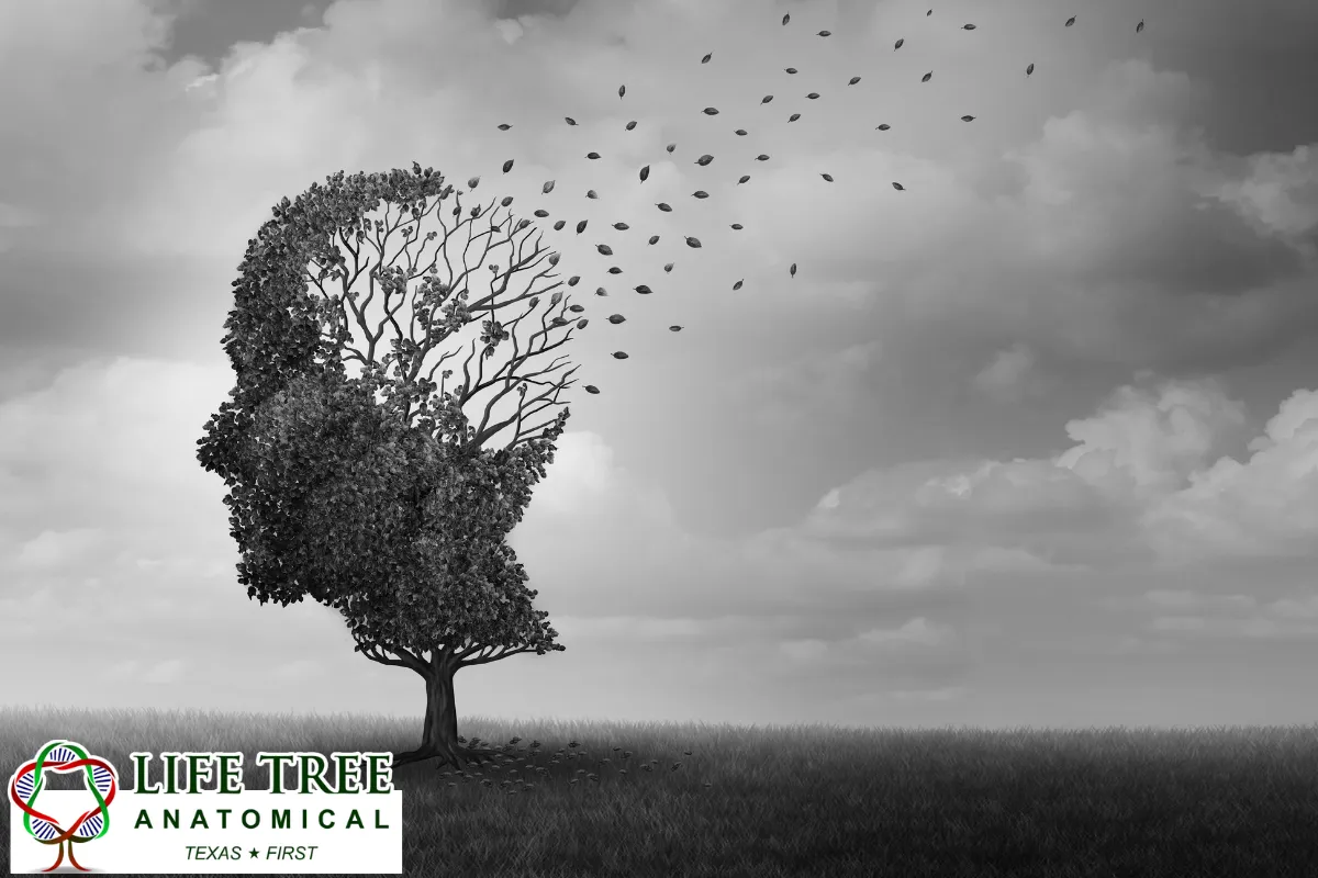 How Texas Law Treats Whole Body Donation When Dementia Is Present